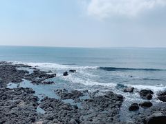 -涉地可支