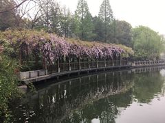-杭州世外桃源君澜度假酒店