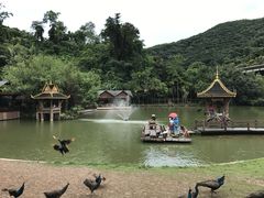 -西双版纳原始森林公园