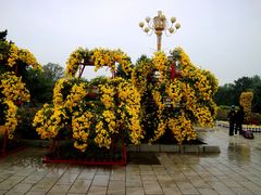 -北陵公园