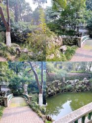 -杰爱月子护理中心