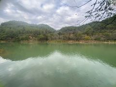 -广州白江湖森林公园