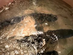 -上名堂·鱼头好吃(体育场路店)