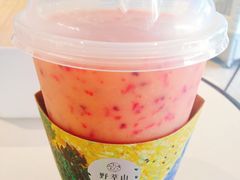-野萃山·潮汕厚果汁(十亩地店)