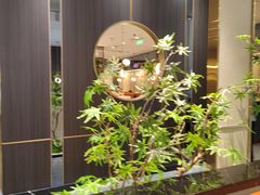 -刘胖子家常菜·蹄花焖藕(中南店)