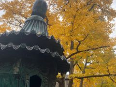 -红螺寺