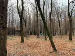 -溱湖国家湿地公园