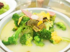 -西新饭店(城中店)