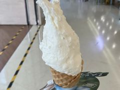 -野人先生现做冰淇淋(北京悠唐购物中心店)