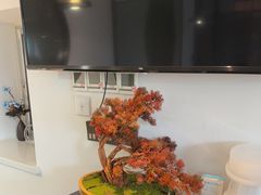 -豫丰汇河南名菜楼(武记餐饮)