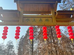 -渌洋湖湿地公园