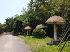 -李小龙乐园(顺德均安店)