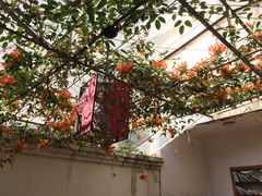-尼玛藏家风味园(阿山食城店)