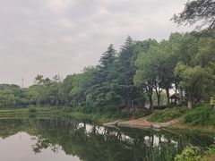 -金银湖国家城市湿地公园
