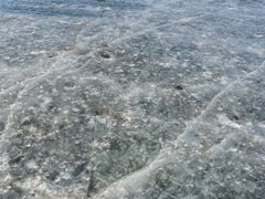 -丁香湖公园
