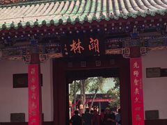 -关林