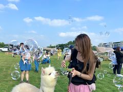 -南京外国语学校(仙林分校西区)