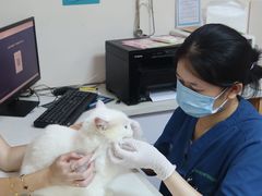-瑞派中心宠物医院·CT·核磁·神经专科