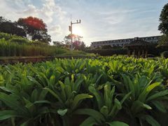 -天河儿童公园