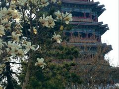 -门城湖公园
