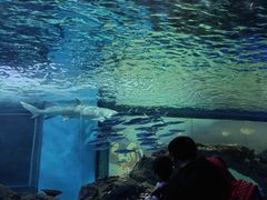 -常州海昌海洋探索馆