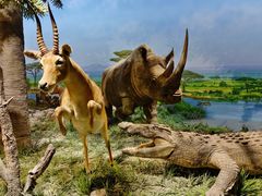 -国家自然博物馆