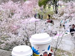 -Beans Solo豆号咖啡(百家湖花园店)