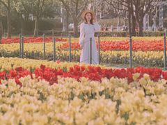 -大宁郁金香公园-停车场