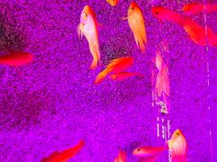 -顺德南宏海立方海洋公园
