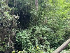 -青城山