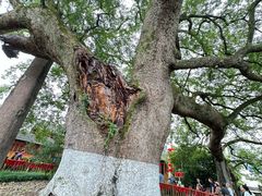 -新安江山水画廊风景区