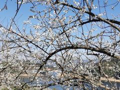 -广州市流溪河国家森林公园