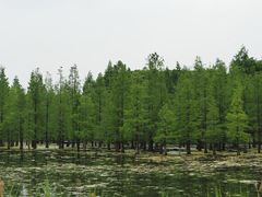 -白鹭湾湿地公园