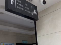 -半岛宠物医院24小时(白果林店)