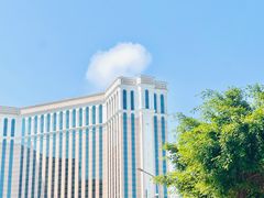 -澳门威尼斯人综合度假区