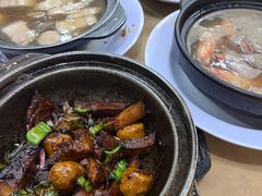 瓦煲干肉骨茶-新记肉骨茶