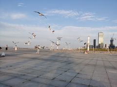 -东港音乐喷泉广场