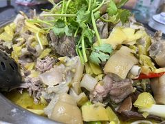 -陈三娃泡姜鸡
