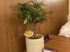 -CURRY YA 熟成咖哩專門店(深圳湾万象城店)