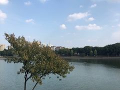 -葛仙湖公园