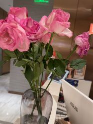 -苑苑vbeauty科技美容SPA
