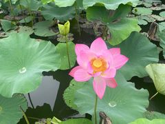 -福州大学(旗山校区)