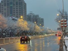 -半天妖烤鱼(方庄店)