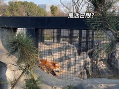 -武汉动物园