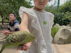 -北戴河集发农业梦想王国