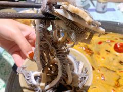 黑千层肚-五里关火锅(牛市口店)