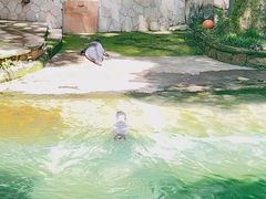 -杭州动物园