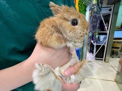 -雨林宠物医院 非犬猫异宠专科