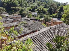 -杨家堂村