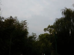 -紫竹院公园冰场